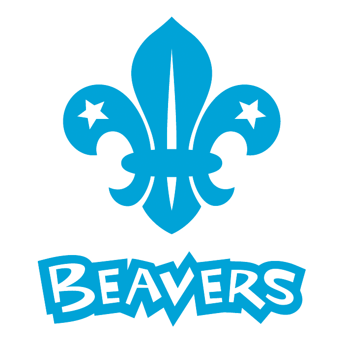 Romsey 9th (West WEllow) beavers Logo