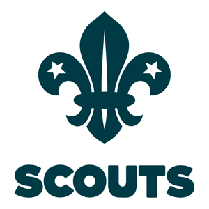 Romsey 9th (West WEllow) scouts Logo